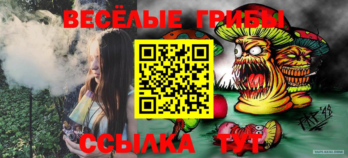 Галлюциногенные грибы Magic Shrooms  Псилоцибиновые грибы Psilocybe  Торжок  Вход с VPN 