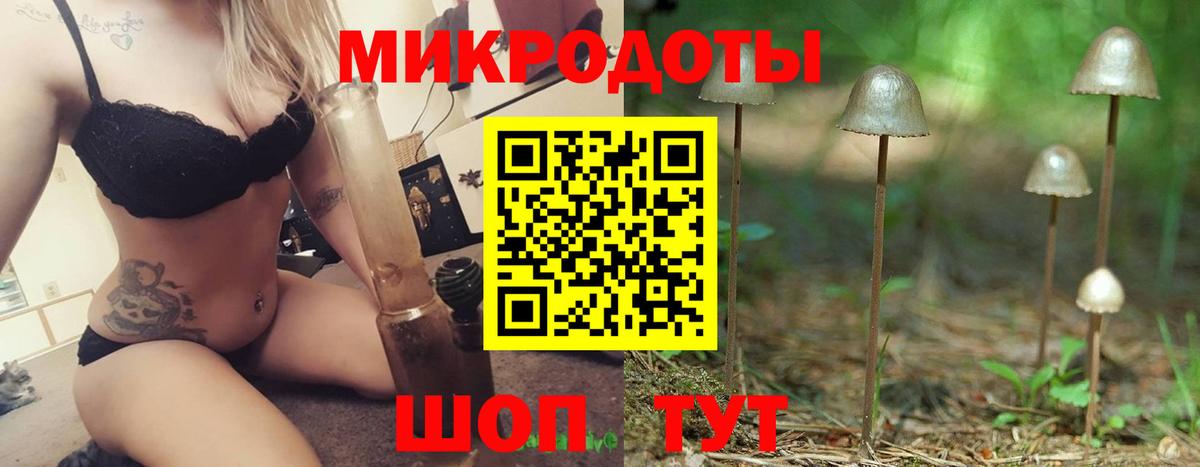 Псилоцибиновые грибы Psilocybe Торжок